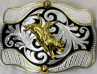 TROPHY BULL RIDER