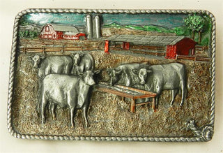 FARM BUCKLE COWS IN THE CORN